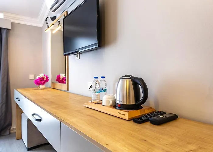 Leslion Turunc מלון