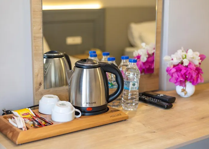 Leslion Turunc 3* מרמריס